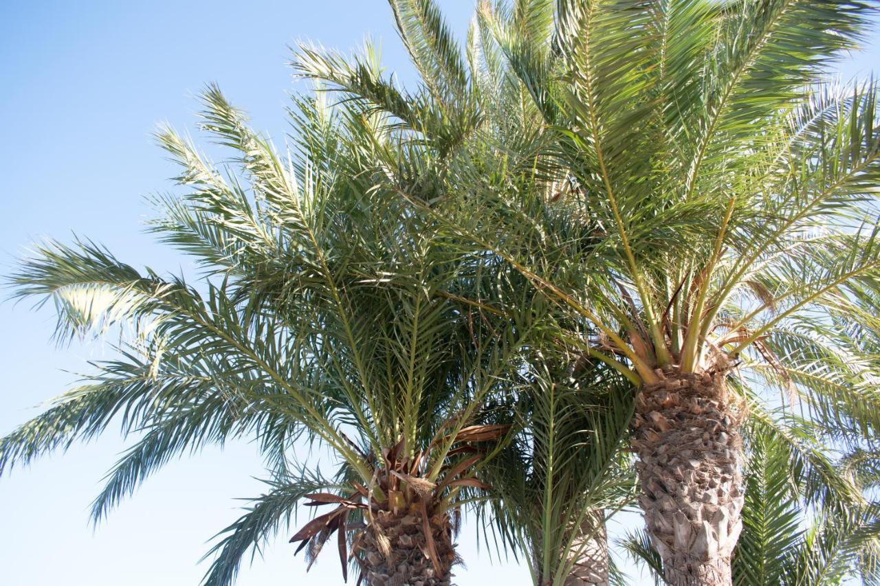 Rafaello Apartment ,,La Zona Cabo Roig, Area Cabo Roig" Orihuela Buitenkant foto